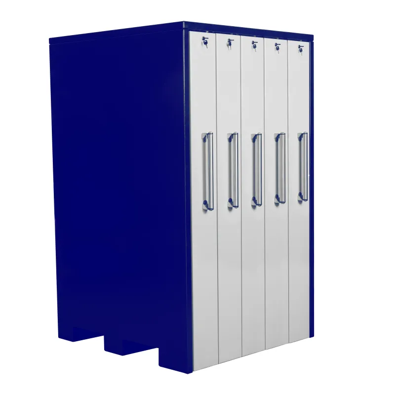 Workshop tool cabinet with five lockable vertical pull-outs